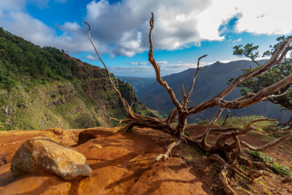 Trail to Waipo'o