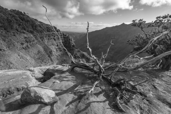 Trail to Waipo'o BW