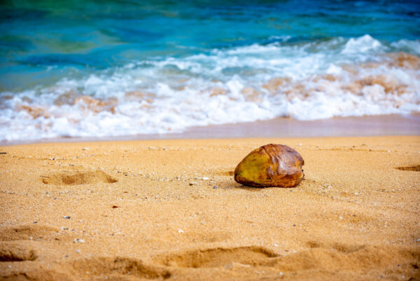 Beach Vibes @ Ka'aka'aniu